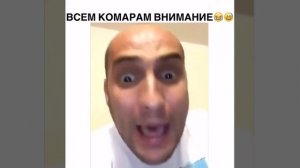 Каха про комара