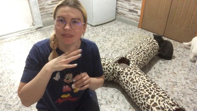 Складной туннель для питомцев..