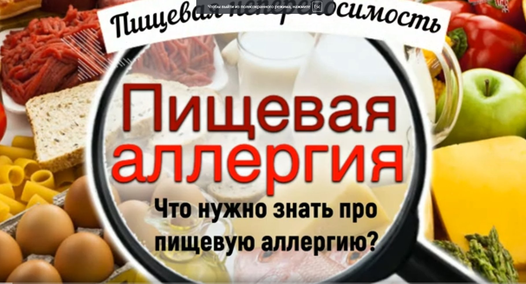 Пищевая аллергия и пищевая непереносимость. Симптомы, лечение, профилактика