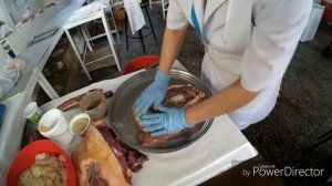 Как делают настоящий КАЗЫ