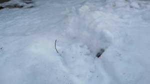 Фитиль виско (Visco) - тест на доске, под снегом, под водой