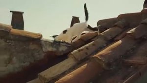 Забавная реклама ФИАТ 500 Х