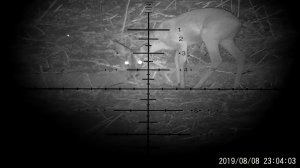 ОХОТА НА СИБИРСКУЮ КОСУЛЮ С PARD 007 .mp4