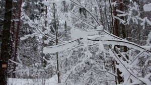 Гряда Вярямянселькя: лучшее место для прогулок в -20°