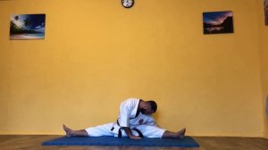 08.05.2020. Видео занятие: Карате.  Растяжка.Разминка ног.Отработка удара Йоко-гери-Кикоми.