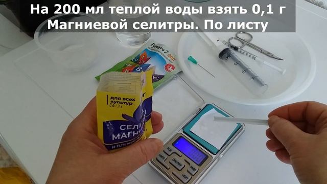МАГНИЙ для перца. Подкормка месячной рассады томатов и баклажанов.