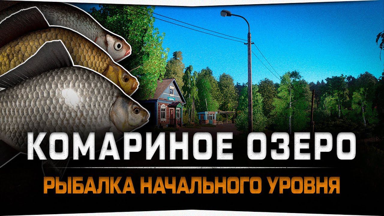 Рыбалка на начальном водоеме. Комариное озеро — Русская Рыбалка 4