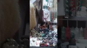 Чайный домик. Кисловодск. Кавказ