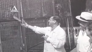 Выставка фотографий из архива Сухумского обезьяньего