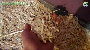 Презентация садового измельчителя МР300 с ЭД 220 от ООО "СтанкоЛес-Трейд"