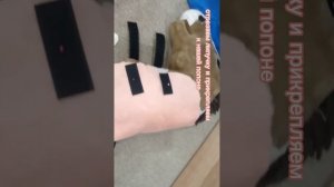 попона доя хоббихорса своими руками на швейной машинке❤?