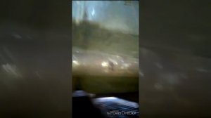 Фаркоп 2114