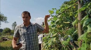 Почему не растут огурцы в сентябре осенью