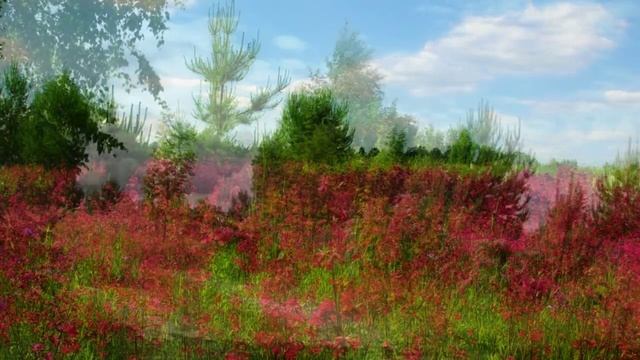 Река Медведица. (Тверская область) смотреть онлайн