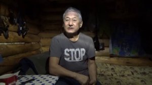 Секрет широкого поиска собак