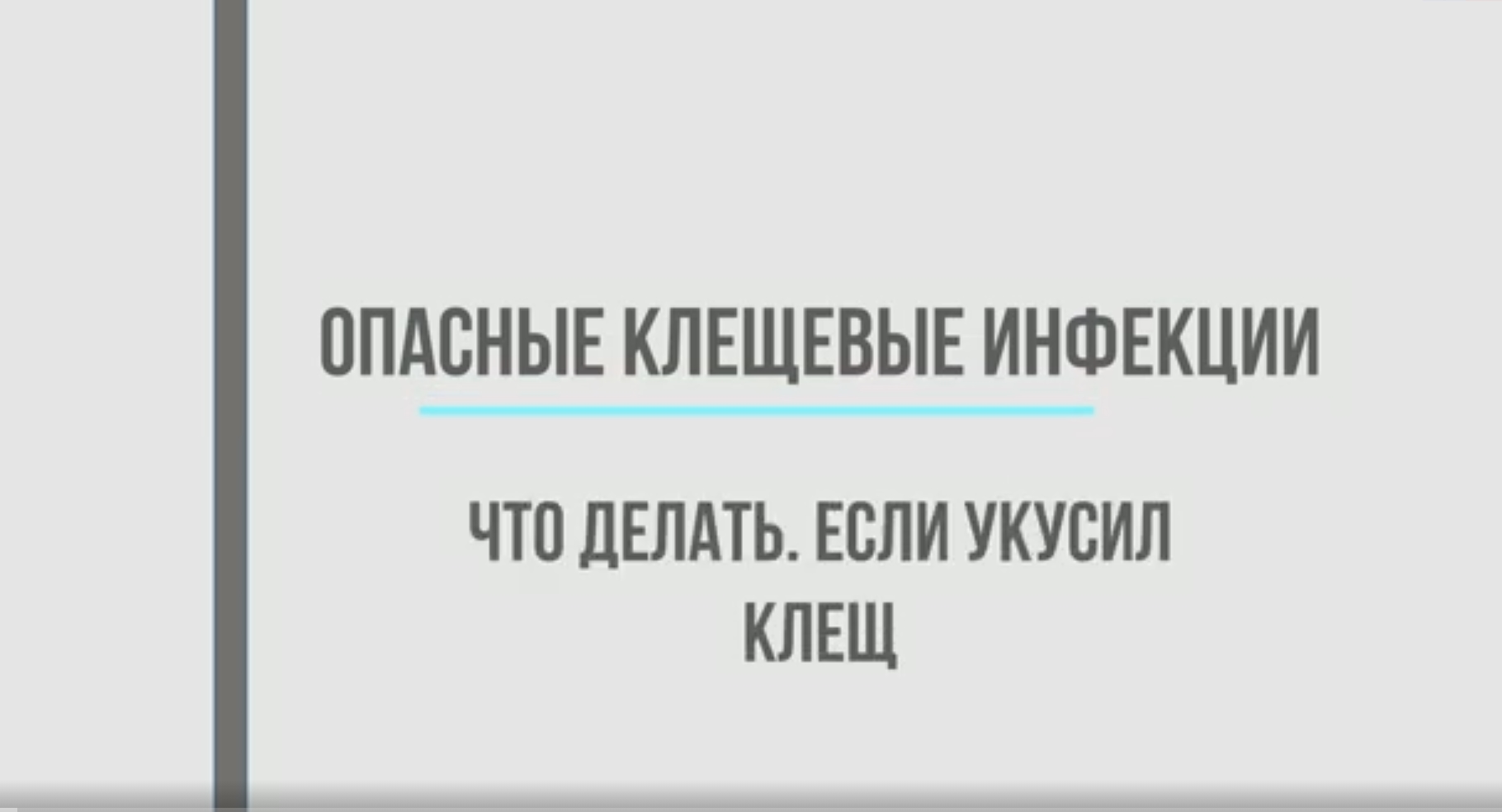 Опасные клещевые инфекции. Что делать если укусил клещ смотреть онлайн