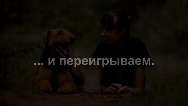 Выдержка: фальстарты
