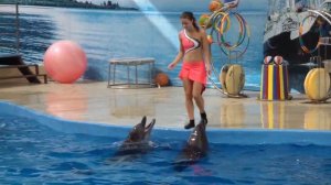 Анапа дельфинарий Пионерский проспект