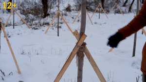 Правильная посадка деревьев. Не допускайте таких же ошибок!