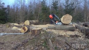 Stihl MS 880