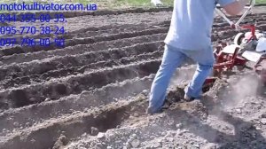 Мотоблок Фоворит.Посадка картошки.Нарезка борозд.