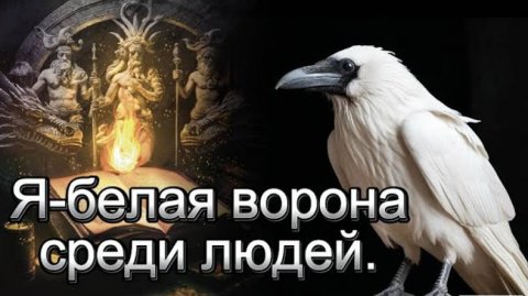 Я- белая ворона среди людей.