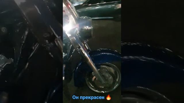 Помыл наконец то Harley-Davidson