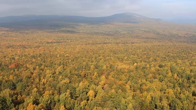 Башкирская тайга с высоты хребта Инзерские зубчатки смотреть онлайн
