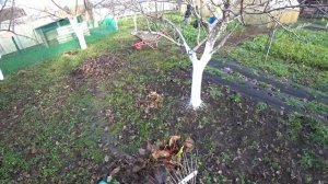 ОБО ВСЕМ В НАШЕМ ДОМЕ? ТОЛЬКО ДЛЯ ДРУЗЕЙ? РЕЗУЛЬТАТ СБОРА ЯИЦ ЗА НЕДЕЛЮ ??