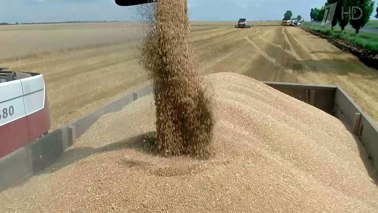 Российское правительство расширяет поддержку аграриев