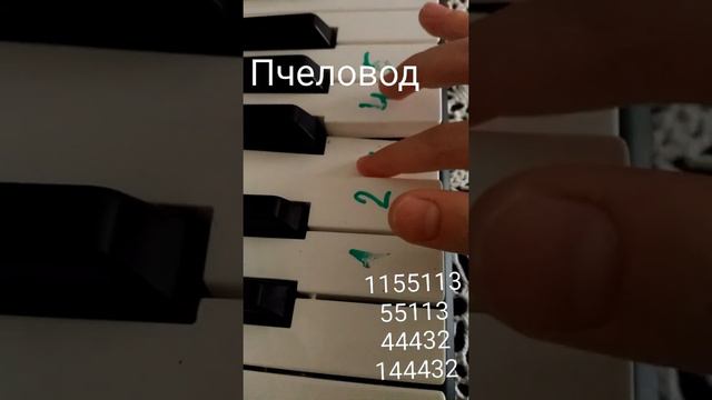 как играть песню "Пчеловод"🎹🐝