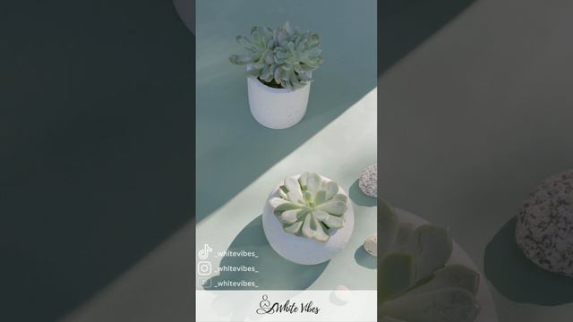 Tiny Terracotta Tranquility: Miniature Pottery Serenity in Green смотреть онлайн