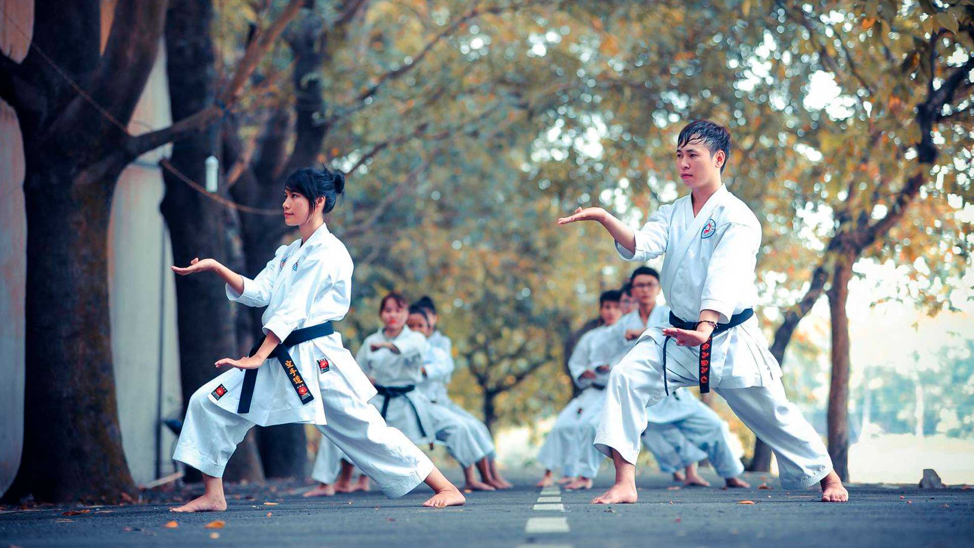 Karate lessons. Уроки карате.