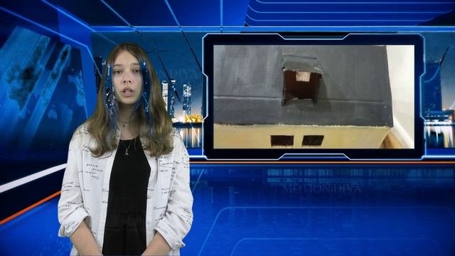 Репортаж о домашнем животном, медиатон 3 тур
