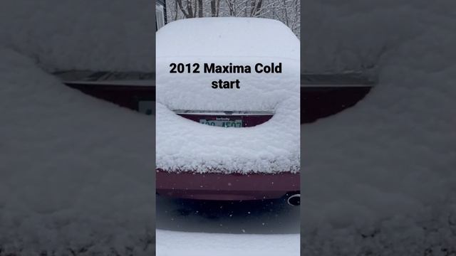 2012 maxima SV cold start