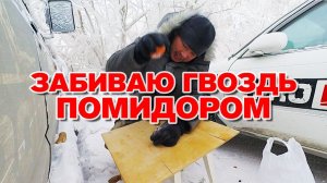 Забиваю помидором гвоздь в -50