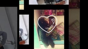 Я Влюбилась тупо в свою Подругу...❤