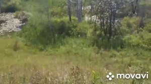 #Староюрьево #Шушпанское водохранилище .Самый замечательный день. Я на море.?