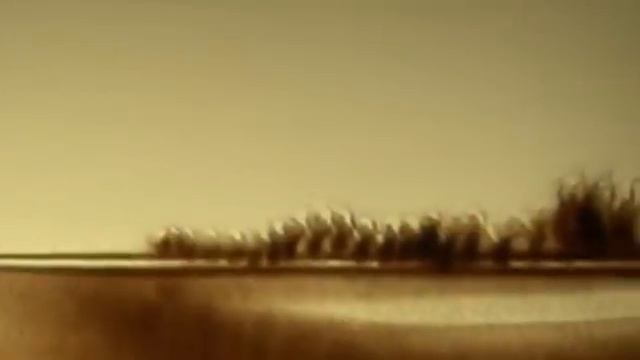 Паромщик