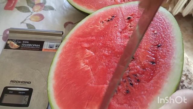 Супер арбуз Мирза, привитый на супер подвой Ферро... а если бы все арбузы такими выросли. :) смотреть онлайн