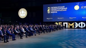 Президент РФ общается с участниками Петербургского международного экономического форума