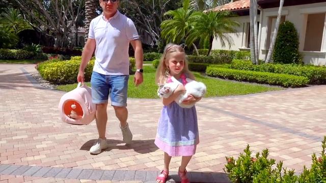 Настя и истории про кошечку