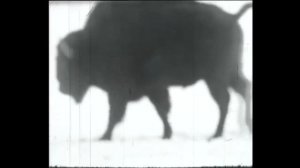 Дезертир. вестерн. Фильм Дмитрия Сергеева "Танцующего Лиса"