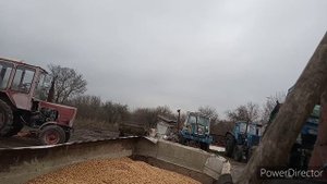 Сушим сою (супер сушарка)