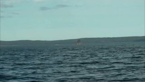 Петрозаводская губа Онежского озера