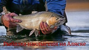 Рыбалка нахлыстом на Аляске