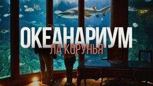 ОКЕАНАРИУМ В ГОРОДЕ ЛА КОРУНЬЯ  | ГАЛИСИЯ | ИСПАНИЯ | AQUARIUM FINISTERRAE