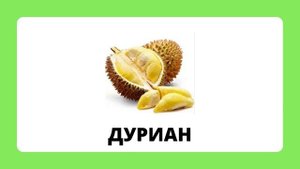 Экзотические фрукты.mp4