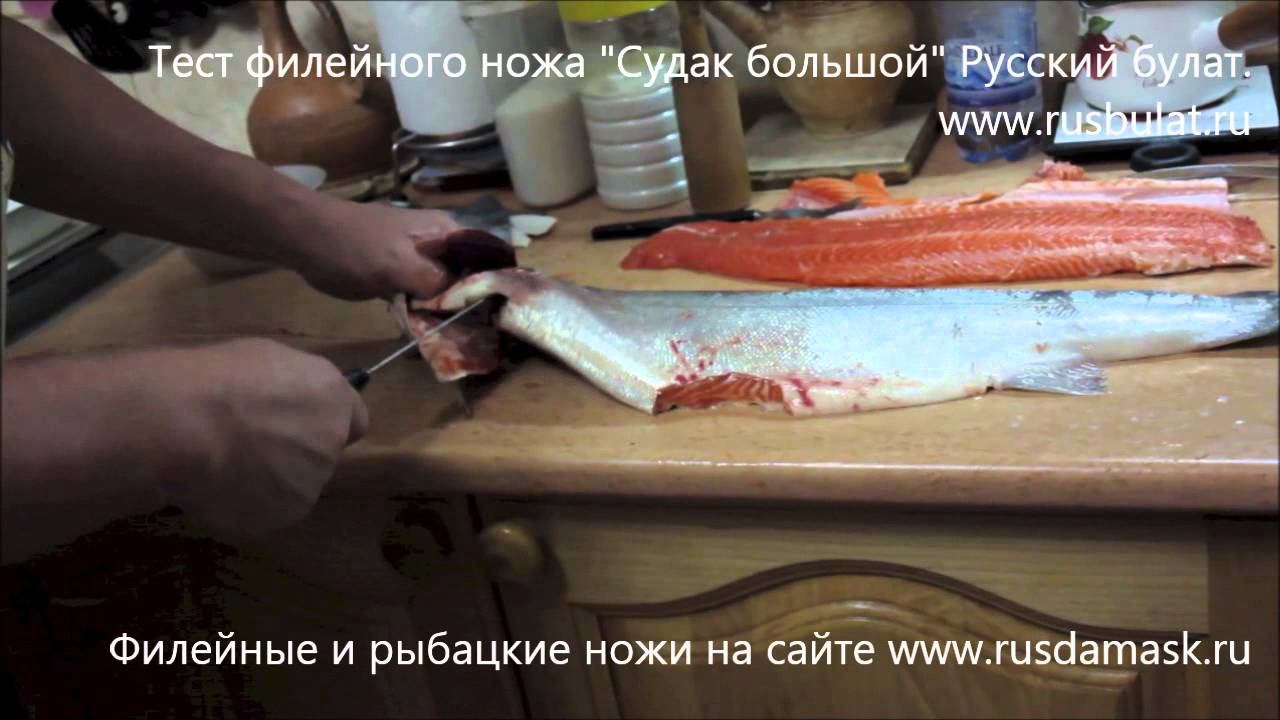 Как засолить красную рыбу? Рецепт засолки форели. Отзыв о ноже "Русский булат"
