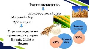 Тема 18. Структура и географические типы сельского хозяйства мира. География растениеводства мира